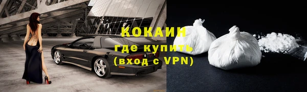 мяу мяу кристалл Няндома