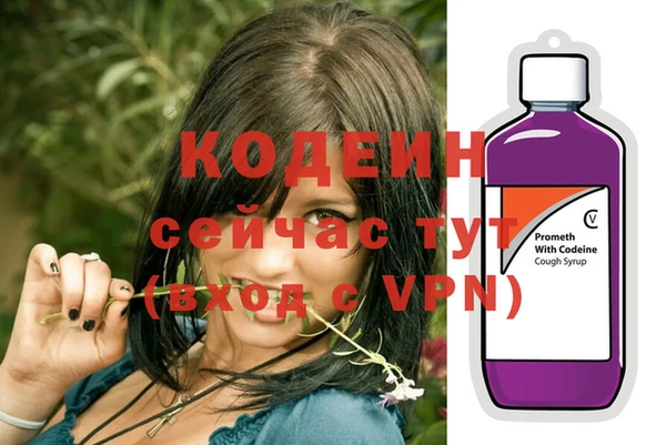 крисы Новодвинск