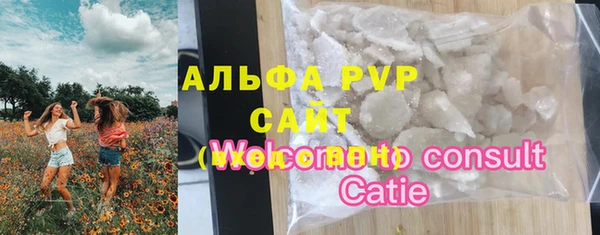 крисы Новодвинск