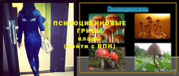 а пвп мука Нягань